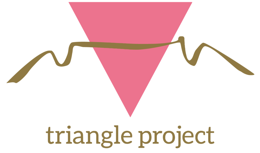 About us – Triangle Project
